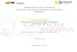 GUÍA METODOLÓGICA PLANTAS DE BENEFICIO · 2016. 12. 20. · ministerio de minerÍa agencia de regulaciÓn y control minero guÍa metodolÓgica sistema de gestiÓn minera usuario