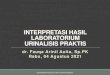 INTERPRETASI HASIL LABORATORIUM URINALISIS PRAKTIS · 2021. 8. 9. · Pemeriksaan Kimia: pH, protein, nitrit, darah, lekosit, glukosa, keton, bilirubin, ... berasal dari jumlah besar