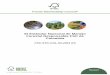 El Estándar Nacional de Manejo Forestal Responsable FSC de 