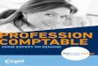 PROFESSION COMPTABLE - Editeur de solutions de gestion