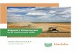 RO Holde Agri Invest Raport T3 2020