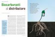fonti alternative Biocarburanti