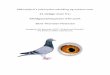 22 dejlige duer fra: Meldgaard/Jeppesen 070 samt Bent 