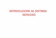 Sistema NERVOSO 1 - units.it