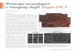 Principi tecnologici e imaging degli Angio-OCT