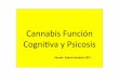 Cannabis Función Cogni va y Psicosis - FundoPsi