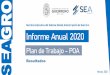 Informe Anual 2020 SEA Plan de Trabajo - POA