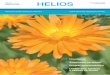 HELIOS - Coloplast