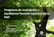 Programa de evaluación y monitoreo forestal nacional de la FAO