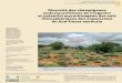 Diversité des champignons endomycorhiziens de l’arganier 