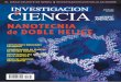 NANOTECNIA de DOBLE HELICE - Investigación y Ciencia