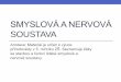 SMYSLOVÁ A NERVOVÁ SOUSTAVA - Endora.cz