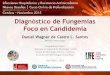 Diagnóstico de Fungemias Foco en Candidemia