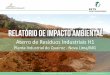 Relatório DE Impacto Ambiental - AngloGold Ashanti