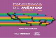 Panorama sociodemográfico de Guanajuato 2020