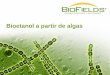 Bioetanol a partir de algas