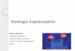 Patologia Suprarenalelor - endocrinologie.usmf.md
