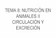 TEMA 8: NUTRICIÓN EN ANIMALES II CIRCULACIÓN Y …