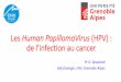 Les HumanPapillomaVirus (HPV) : de l’infection au cancer