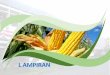 L ampiran - pertanian.kutaibaratkab.go.id