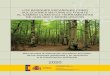Los bosques españoles como soluciones naturales frente al 