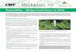 der Bayerischen Landesanstalt für Wald und Forstwirtschaft 
