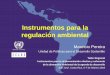 Instrumentos para la regulación ambiental - Mauricio Pereira
