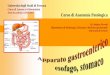 Anno Accademico 2018-2019 Corso di Anatomia Patologica