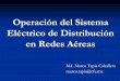 Operación del Sistema Eléctrico de Distribución en Redes 