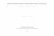 Estudio comparativo de los criterios y atributos jurídico 
