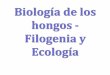 Biología de los hongos - Filogenia y Ecología