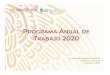PROGRAMA NUAL DE TRABAJO 2020