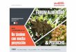 Producción y comercialización de pistachos