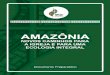 Livro - Amazônia novos caminhos - Paróquia Costa da Caparica