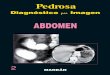 Pedrosa 2 Abdomen rustica.pdf, page 1 @ HotFolder 
