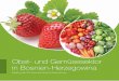 Obst- und Gemüsesektor in Bosnien-Herzegowina