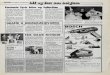 VISIIv'Föstudagur 11. nóvember 1977