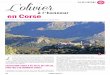 à l'honneur en Corse - FRANCE OLIVE - AFIDOL