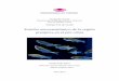 Estudio neuroanatómico de la región preóptica en el pez cebra