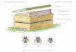 SCHAUBILD: Bienenbeute und Bienen 3/2020 - Verlag Herder