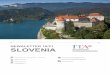 SLOVENIA - mz-consulting.org