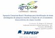 Agropolo Campinas-Brasil: Roadmap para identificação de 