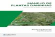 MANEJO DE PLANTAS DANINHAS - Corteva