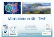 Microbioteet SII ‐TMF