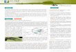 Broca-do-freixo: Agrilus planipennis