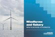 Windfarms and fishery