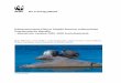 Itämerennorpan (Phoca hispida botnica) esiintyminen 