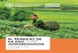 EL TRABAJO DE LA FAO SOBRE AGROECOLOGÍA