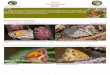 Pyronia Clave de Especies - Biodiversidad Virtual