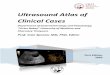 Ultrasound Atlas of Clinical Cases